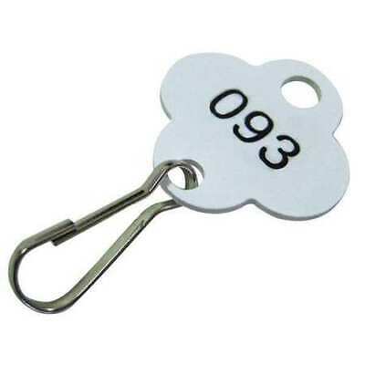 Zoro Select 33J879 Key Tag Numbered 1 To 100,Pk100